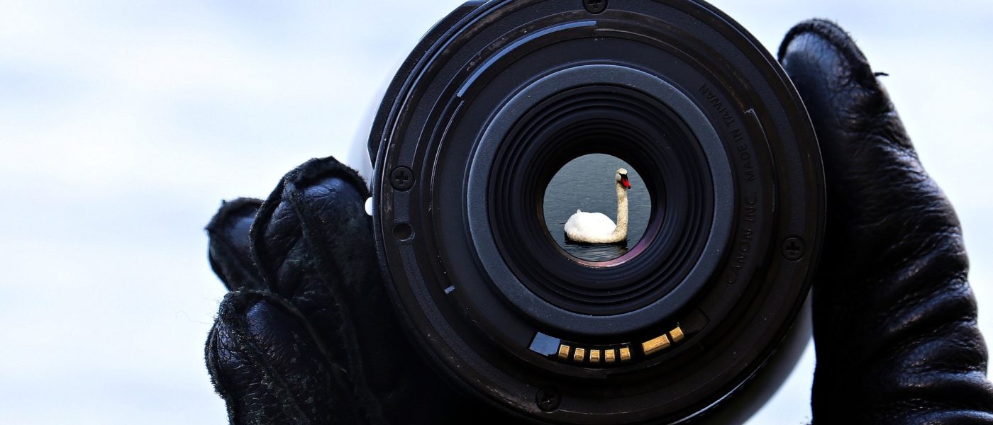 concours photo animalière